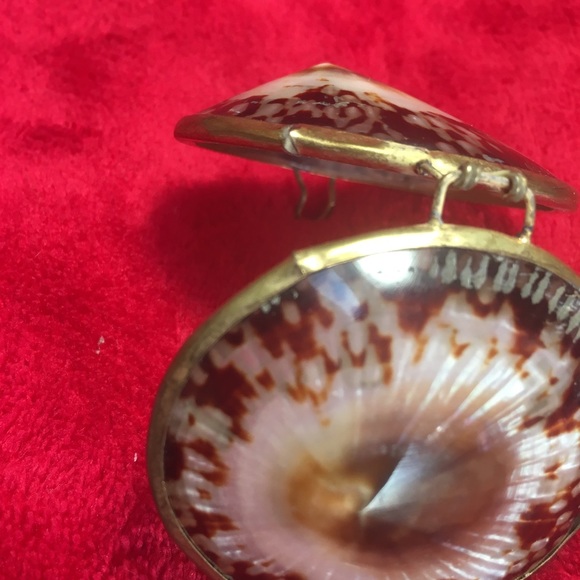 Unique Shell Locket/Box - Picture 6 of 7